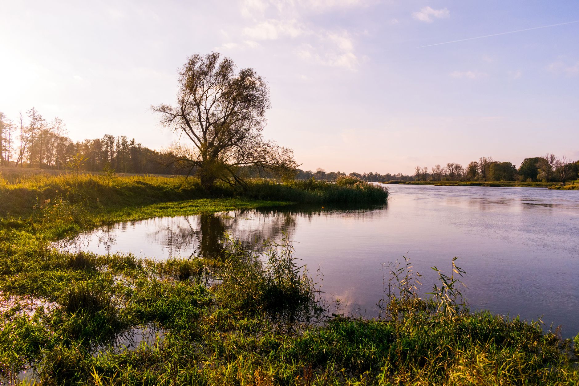 Ruhiger Flussabschnitt mit grünem Ufer und Spiegelungen im Wasser